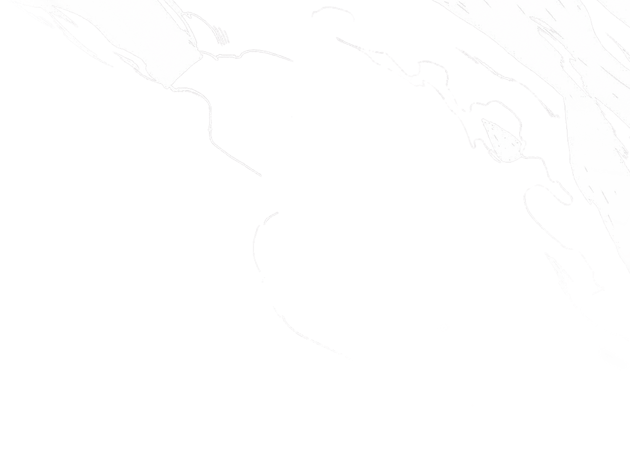 Swoosh effect