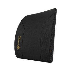 Secretlab Lumbar Pillow Pro